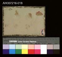 日本裕仁皇太子 (昭和天皇) 來台巡行照片藏品圖，第4張